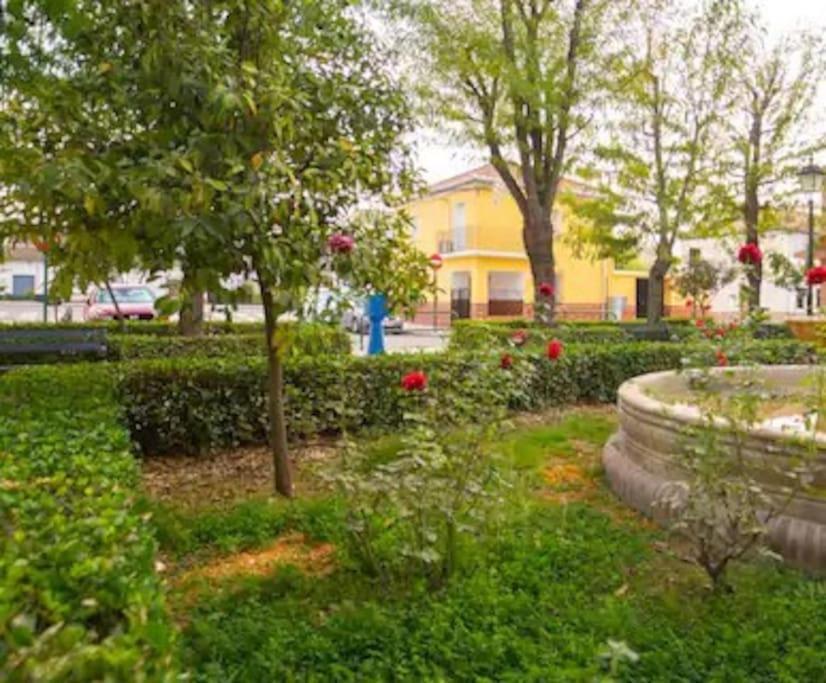 Casa Pablo -Granada- Villa Екстериор снимка